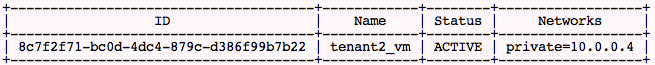 example of typical IP allocation with flat managers for tenant_2
