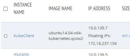 screenshot of KubeClient instance after it launches now with Floating IPs in IP Address column