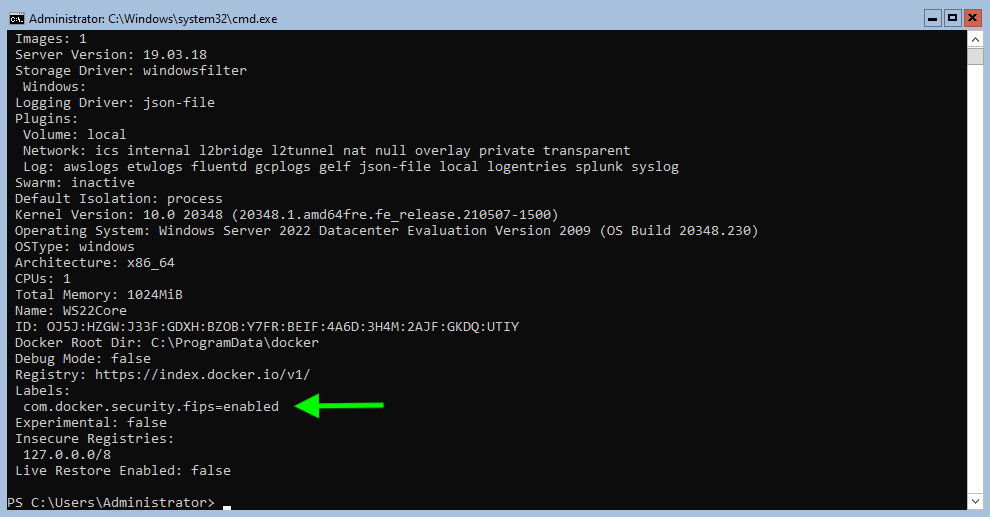 screenshot of docker info readout with arrow pointing to FIPS=enabled in the Windows server terminal