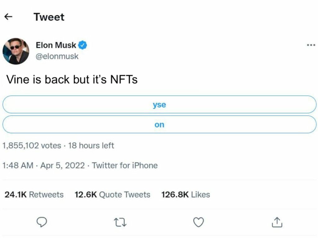 Mock Elon Musk Twitter poll: "Vine is back but it's NFTs" Yes or no?